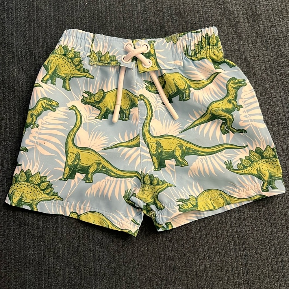 Adorable 12M Dinosaur Swim Trunks!